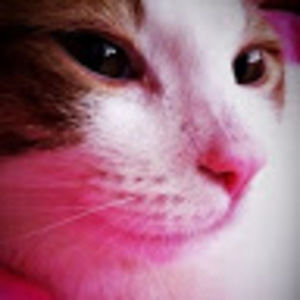 Meet your Posher, Jinsun